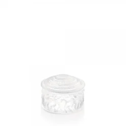 Sale Boîte enfant lalique Coupes, Coupelles Et Photophores|Boites Cristal