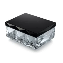 Discount Boîte louxor noir & ivoire Baccarat Coupes, Coupelles Et Photophores|Coupelles Cristal