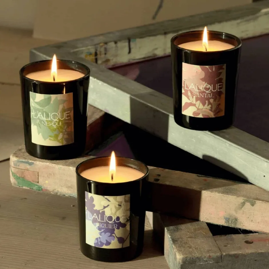 Discount Bougie parfumée Santal Goa Inde Lalique Coupes, Coupelles Et Photophores|Bougies Lalique