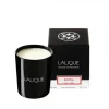 Clearance Bougie parfumée santal lalique Bougies Lalique|Coupes, Coupelles Et Photophores