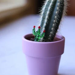 Best Cactus miniature verre à la flamme Figurines Miniature Cristal|Bestiaire
