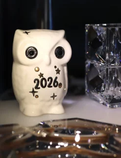 Discount Chouette blanc 2026 Émaux de Longwy 500 ex Animaux Cristal|Animaux