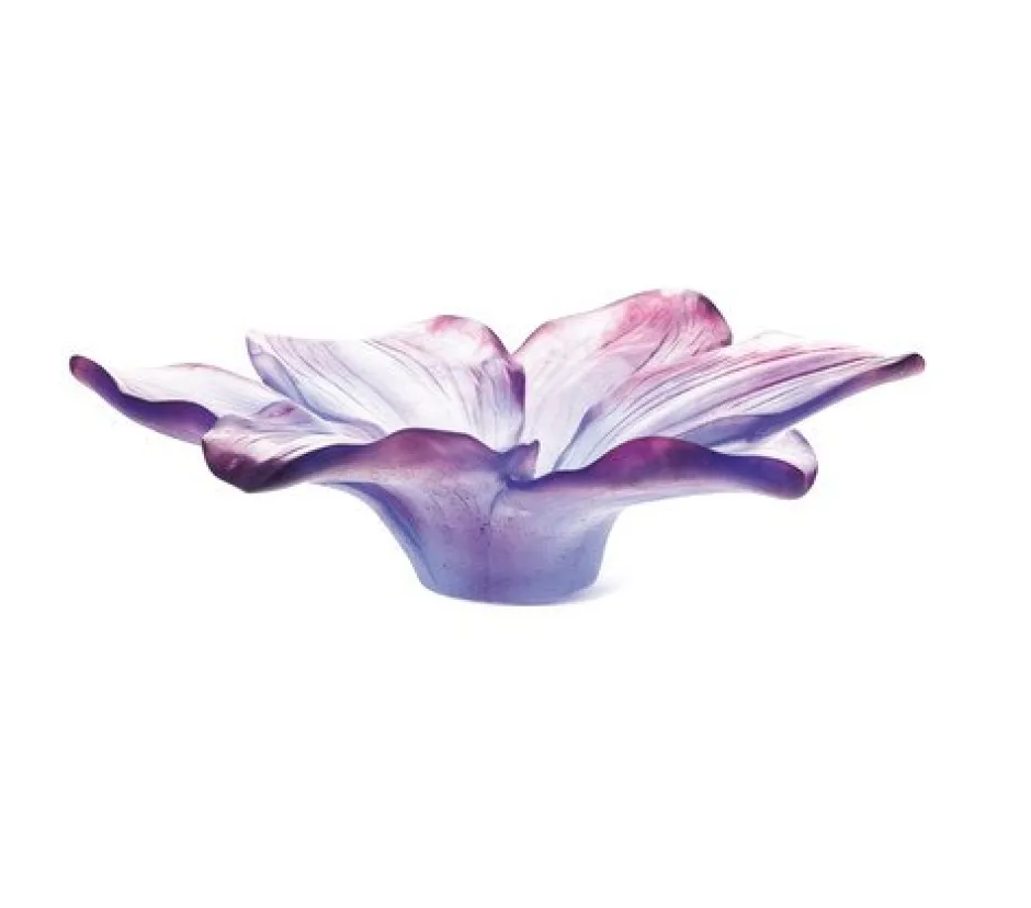 Discount Coupe amethyste daum Coupes Cristal