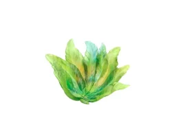 Online Coupe borné daum par emilio robba Coupes Cristal