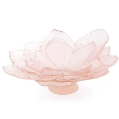 Outlet Coupe grand modèle camelia daum Coupes Cristal