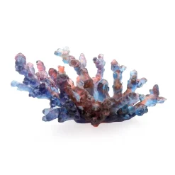 Online Coupe mm bleu rouge mer de corail daum Coupes Cristal