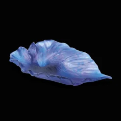 New Coupe numérotée arum Daum Coupes Cristal