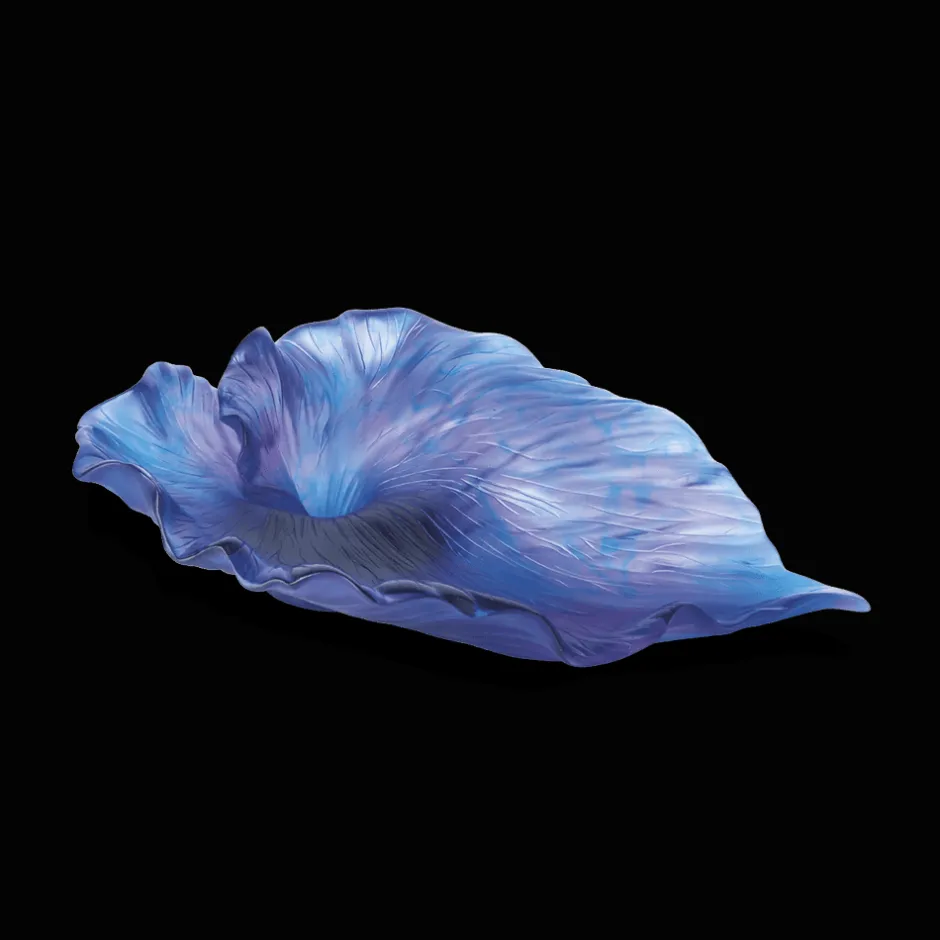 New Coupe numérotée arum Daum Coupes Cristal