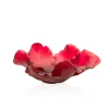 Clearance Coupe tulipe rouge daum Coupes Cristal