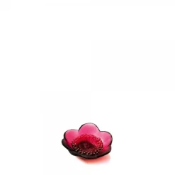 Clearance Coupelle anémone lalique Coupes, Coupelles Et Photophores|Coupelles Cristal