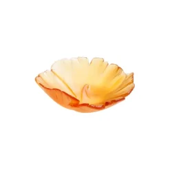 Discount Coupelle ginkgo ambre daum Vide-Poches Cristal|Coupelles Cristal