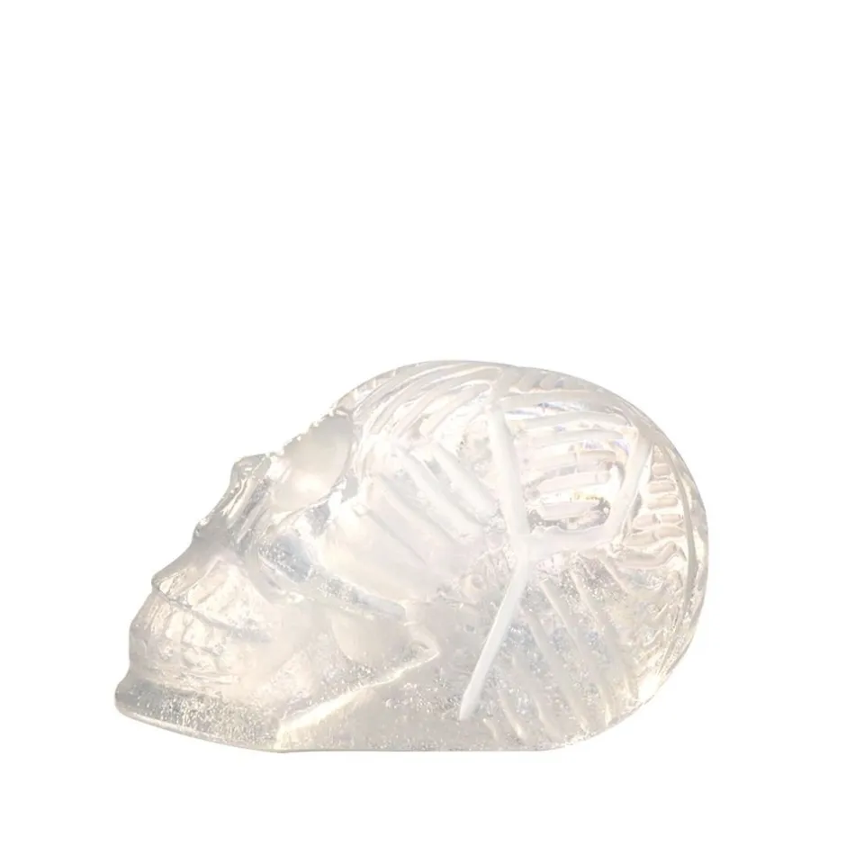 Outlet Crâne de cristal – loïc ortega Décoration|Éditions D’Art Cristal