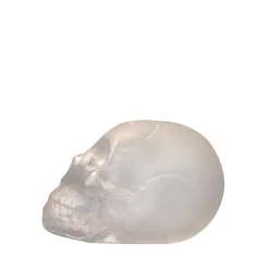 Clearance Crâne de cristal – loïc ortega Décoration|Éditions D’Art Cristal