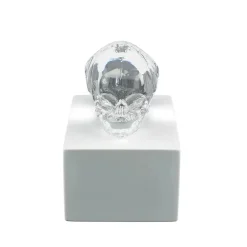 Clearance Crâne eternal Memory Damien Hirst & Lalique 2017 cire perdue Sculptures Cristal|Sculptures Et Figurines