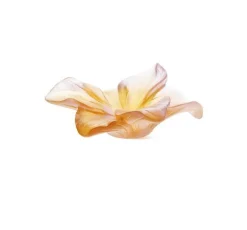 Outlet Fleur ambre amaryllis daum Coupelles Cristal|Fleurs Cristal
