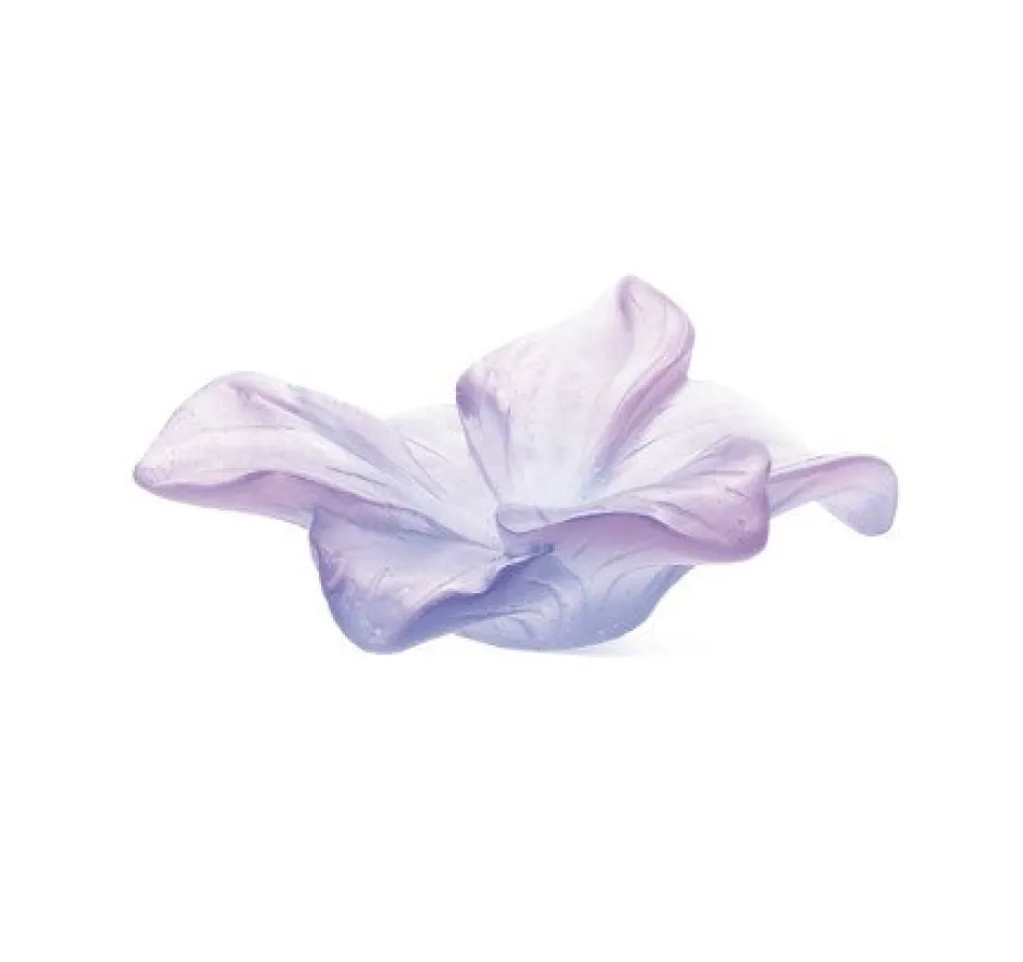 Outlet Fleur mauve amaryllis daum Coupelles Cristal|Fleurs Cristal