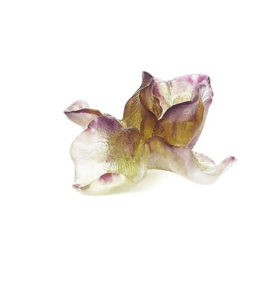 Online Fleur violette iris daum Fleurs Cristal