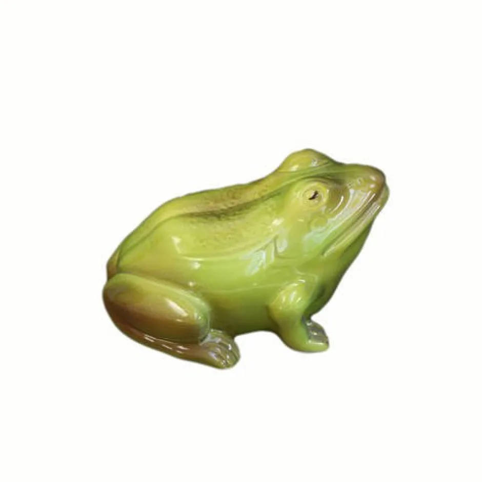 Sale Grenouille reinette barbotine Lunéville