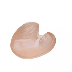 Maternity daum decelles jon Editions D’Art|Éditions D’Art Cristal