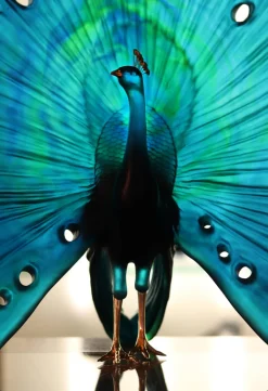 Online Parade du paon daum par madeleine van der knoop Editions D’Art|Bestiaire