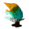 Discount Poisson ange royal ambre vert mer de corail daum Animaux Cristal|Bestiaire