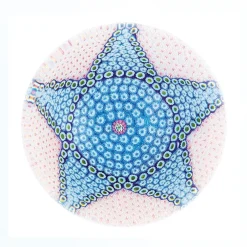 Sale Presse-papier anémone saint-louis Presse-Papiers|Sulfures Cristal