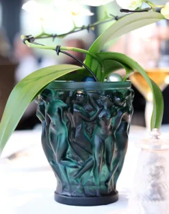 New Vase bacchantes pm vert lalique Vases