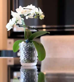 Best Vase bougie mossi lalique Coupes, Coupelles Et Photophores|Photophores, Bougeoirs Cristal