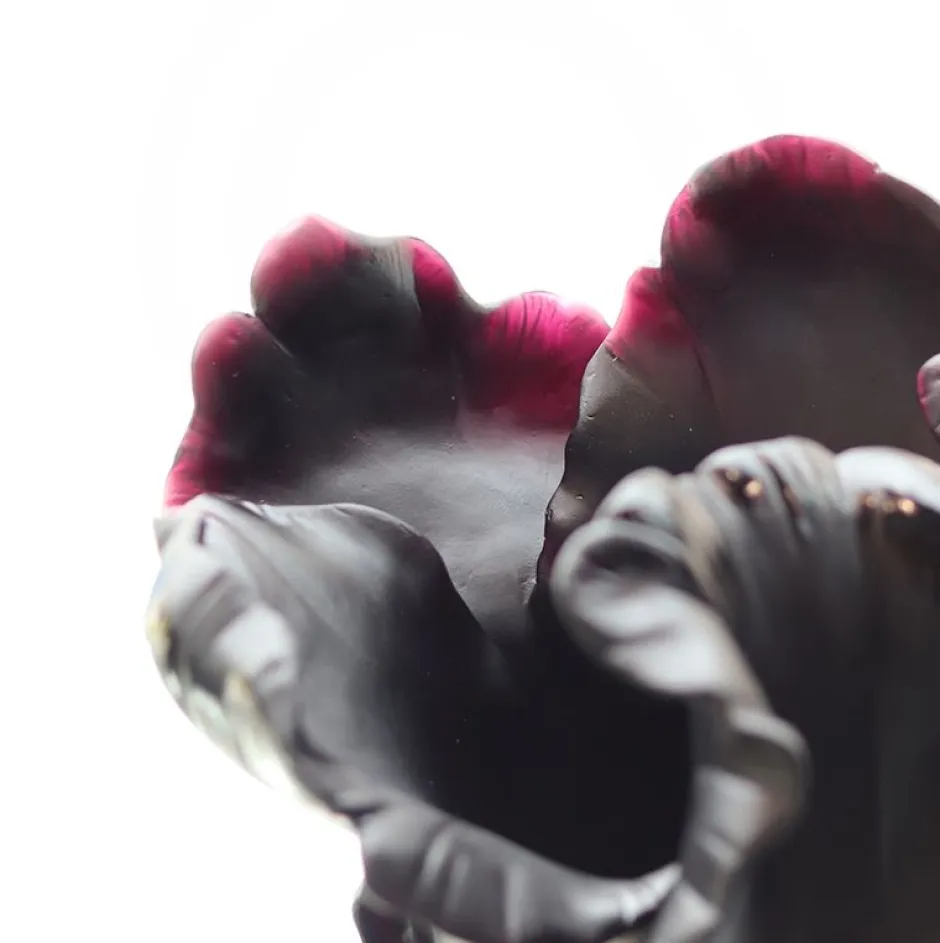 Best Vase tulipe noir appaloosa daum Vases|Vases Cristal Couleur