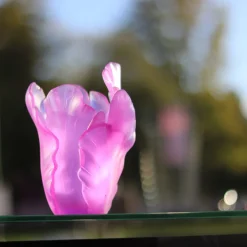 Sale Vase tulipe ultraviolet daum Vases|Vases Cristal Couleur