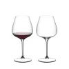 Verre vin Pinot Noir Nebbiolo Aperitivo GRAPE Riedel X2 Verre À Pied|Coffrets Verres Cristal